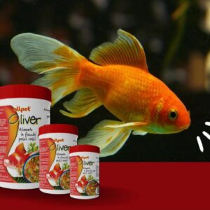All Pet Oliver mangime pesci rossi